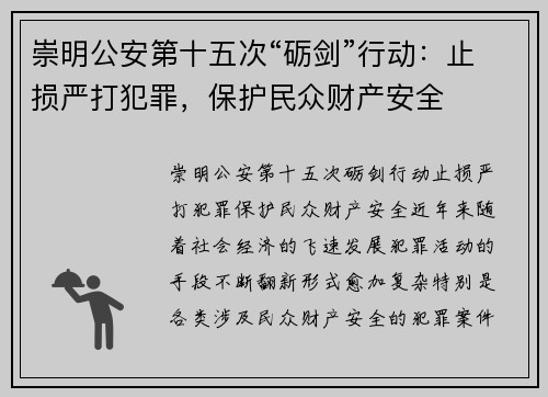 崇明公安第十五次“砺剑”行动：止损严打犯罪，保护民众财产安全