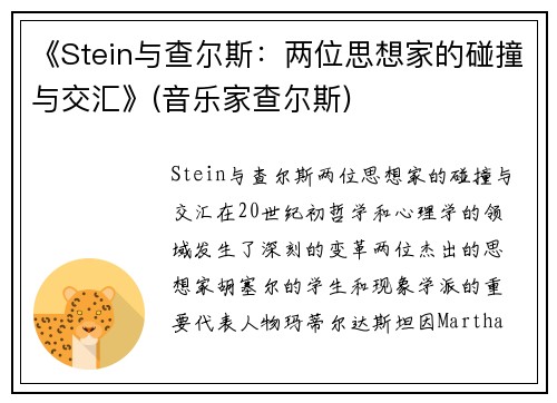 《Stein与查尔斯：两位思想家的碰撞与交汇》(音乐家查尔斯)
